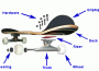 skateboard